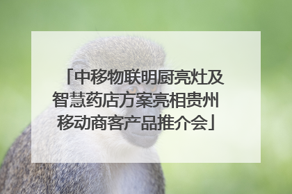 中移物联明厨亮灶及智慧药店方案亮相贵州移动商客产品推介会