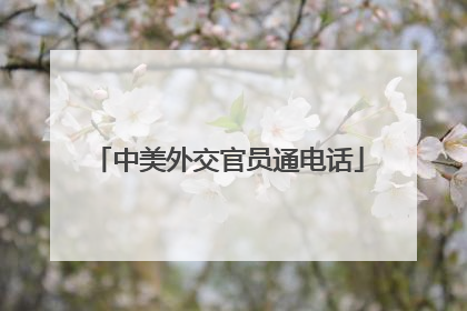 中美外交官员通电话