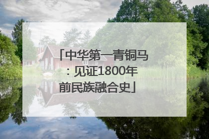 中华第一青铜马：见证1800年前民族融合史