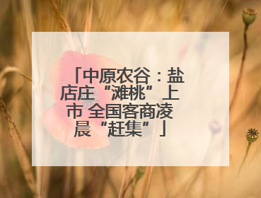 中原农谷：盐店庄“滩桃”上市 全国客商凌晨“赶集”