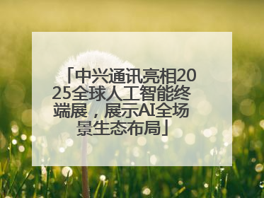 中兴通讯亮相2025全球人工智能终端展，展示AI全场景生态布局