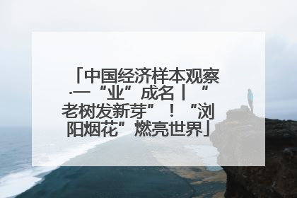 中国经济样本观察·一“业”成名丨“老树发新芽”！“浏阳烟花”燃亮世界