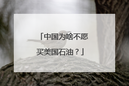 中国为啥不愿买美国石油？