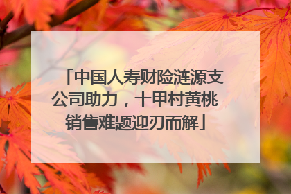 中国人寿财险涟源支公司助力，十甲村黄桃销售难题迎刃而解