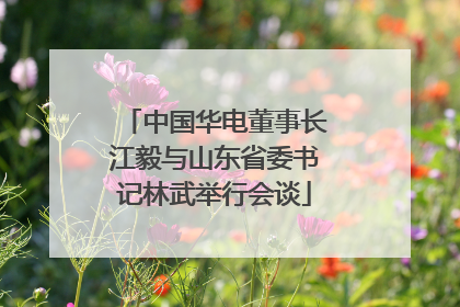 中国华电董事长江毅与山东省委书记林武举行会谈