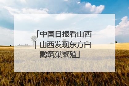 中国日报看山西｜山西发现东方白鹳筑巢繁殖