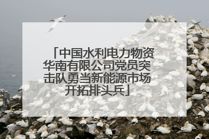 中国水利电力物资华南有限公司党员突击队勇当新能源市场开拓排头兵