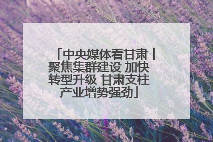 中央媒体看甘肃丨聚焦集群建设 加快转型升级 甘肃支柱产业增势强劲