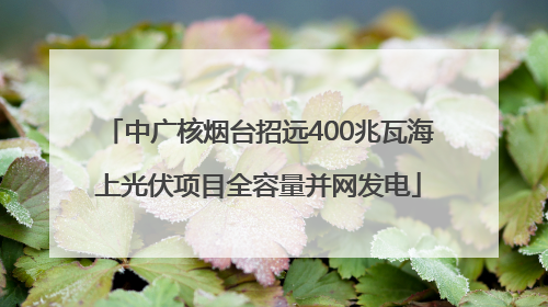 中广核烟台招远400兆瓦海上光伏项目全容量并网发电
