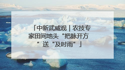 中新武威观｜农技专家田间地头“把脉开方”送“及时雨”