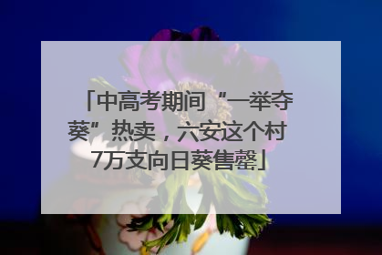 中高考期间“一举夺葵”热卖，六安这个村7万支向日葵售罄