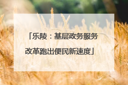 乐陵：基层政务服务改革跑出便民新速度