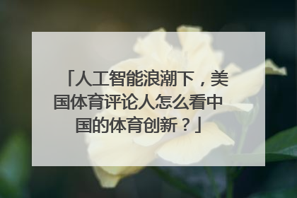 人工智能浪潮下，美国体育评论人怎么看中国的体育创新？