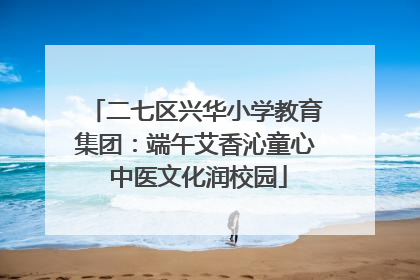 二七区兴华小学教育集团：端午艾香沁童心 中医文化润校园