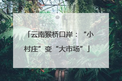 云南猴桥口岸：“小村庄”变“大市场”