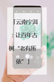 云南宁洱：让百年古树“老有所依”