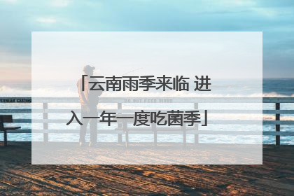云南雨季来临 进入一年一度吃菌季