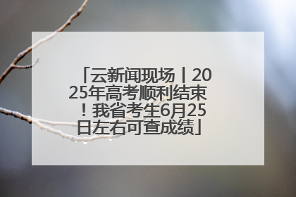 云新闻现场丨2025年高考顺利结束！我省考生6月25日左右可查成绩