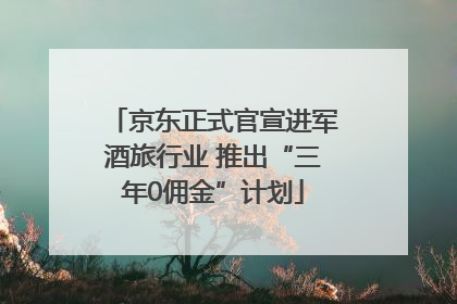 京东正式官宣进军酒旅行业 推出“三年0佣金”计划