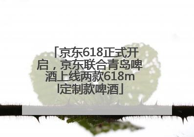 京东618正式开启，京东联合青岛啤酒上线两款618ml定制款啤酒