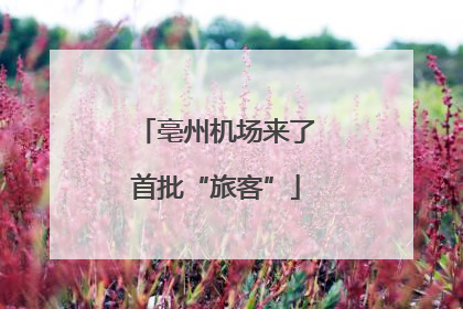 亳州机场来了首批“旅客”