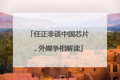 任正非谈中国芯片，外媒争相解读