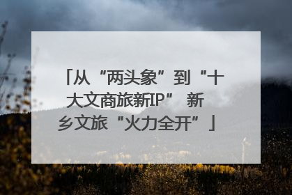 从“两头象”到“十大文商旅新IP” 新乡文旅“火力全开”