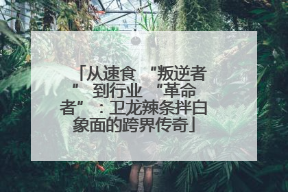 从速食 “叛逆者” 到行业 “革命者”：卫龙辣条拌白象面的跨界传奇