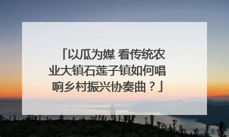 以瓜为媒 看传统农业大镇石莲子镇如何唱响乡村振兴协奏曲？
