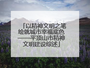 以精神文明之笔绘就城市幸福底色——平顶山市精神文明建设综述