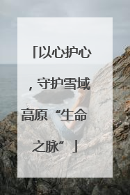 以心护心，守护雪域高原“生命之脉”