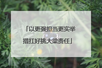 以更强担当更实举措扛好挑大梁责任