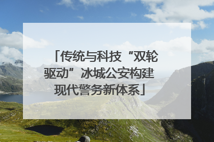 传统与科技“双轮驱动”冰城公安构建现代警务新体系