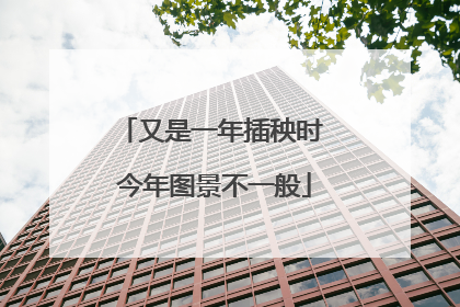 又是一年插秧时 今年图景不一般