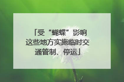 受“蝴蝶”影响 这些地方实施临时交通管制、停运