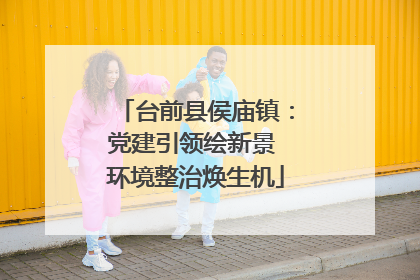 台前县侯庙镇：党建引领绘新景 环境整治焕生机