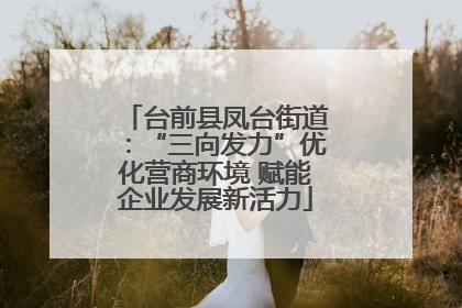 台前县凤台街道：“三向发力”优化营商环境 赋能企业发展新活力