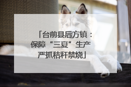 台前县后方镇：保障“三夏”生产 严抓秸秆禁烧