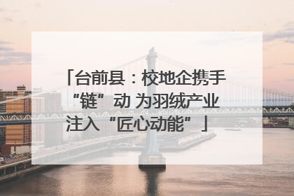 台前县：校地企携手“链”动 为羽绒产业注入“匠心动能”