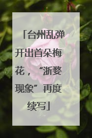 台州乱弹开出首朵梅花，“浙婺现象”再度续写