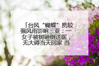 台风“蝴蝶”携较强风雨影响三亚：一女子被树砸倒送医，无大碍当天回家 当地已紧急清障