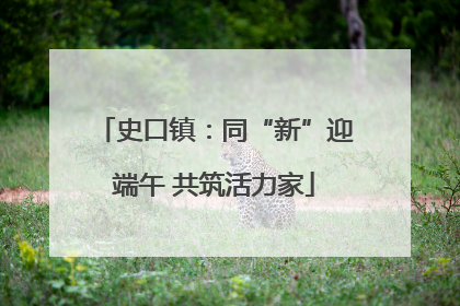 史口镇：同“新”迎端午 共筑活力家