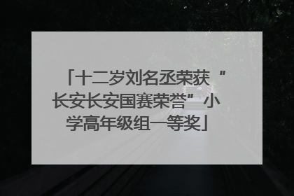 十二岁刘名丞荣获“长安长安国赛荣誉”小学高年级组一等奖
