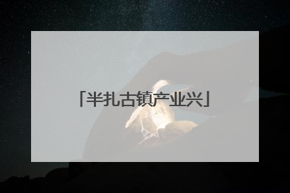 半扎古镇产业兴