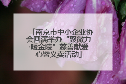 南京市中小企业协会圆满举办“聚微力·暖金陵”慈善献爱心暨义卖活动