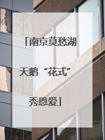 南京莫愁湖天鹅“花式”秀恩爱