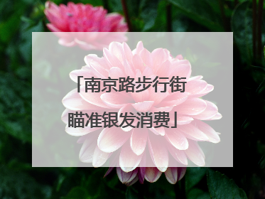南京路步行街瞄准银发消费