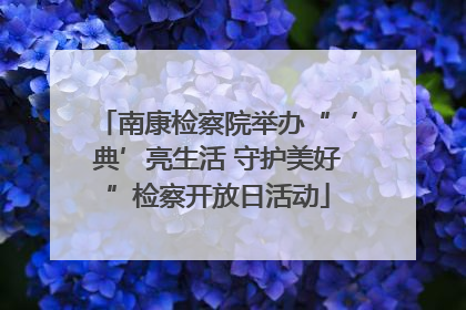 南康检察院举办“‘典’亮生活 守护美好”检察开放日活动