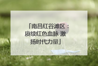 南昌红谷滩区：赓续红色血脉 激扬时代力量