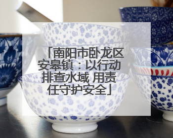 南阳市卧龙区安皋镇：以行动排查水域 用责任守护安全